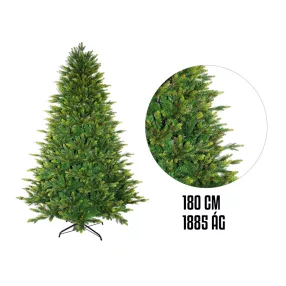 FENYŐFA, 1885 ÁGÚ, SŰRŰ, ZÖLD