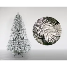 FENYŐFA, 1800 ÁGÚ, BEAUTY, HAVAS