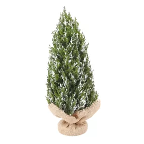 TUJABOKOR JUTAZSÁKBAN, FEHÉR FLITTERES