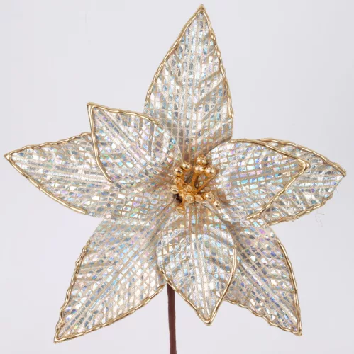 MIKULÁS VIRÁG GYH.ARANY D16