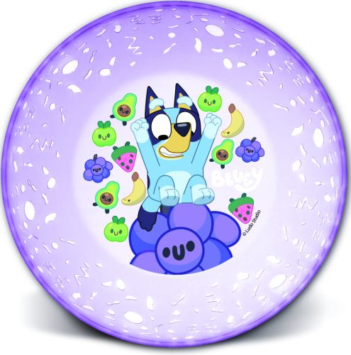 LICENCE MŰANYAG MÉLYTÁNYÉR, ÁTLÁTSZÓ, BLUEY