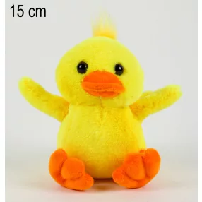 KACSA ÜLŐ                15