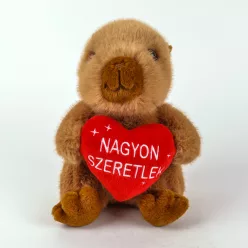 VIZIDISZNÓ+SZÍV.N.SZERET.20